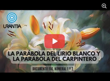 The parabola of the lily